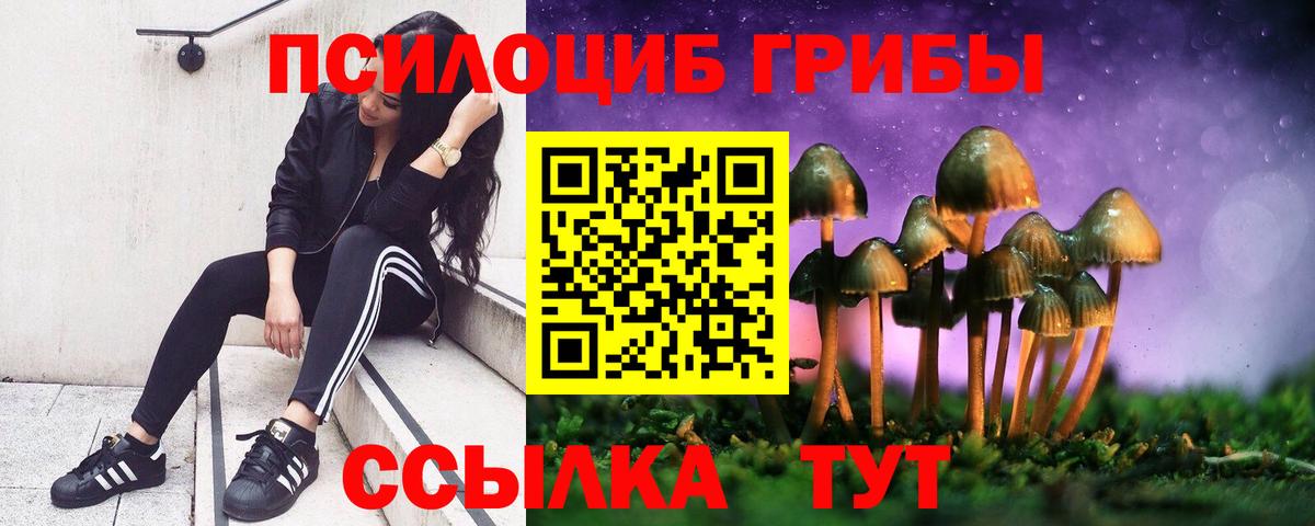 Псилоцибиновые грибы MAGIC MUSHROOMS  Вход с VPN  продажа наркотиков  Губкинский  Псилоцибиновые грибы ЛСД 