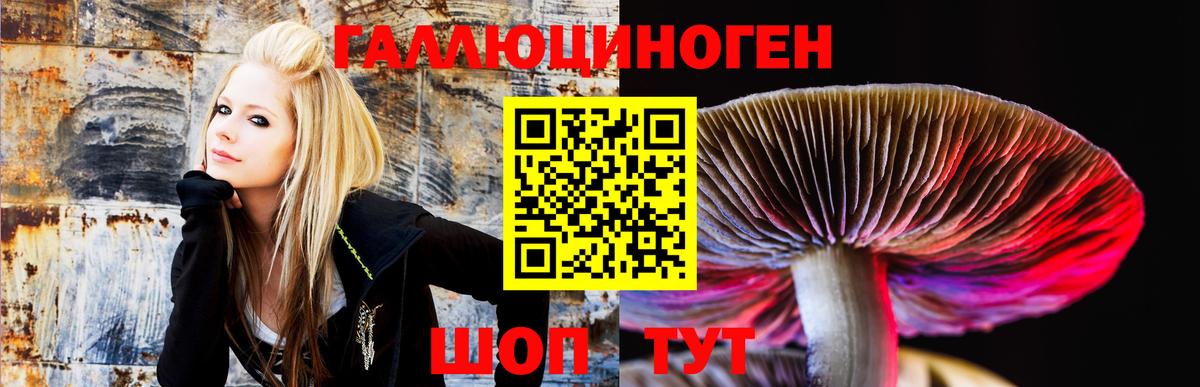Псилоцибиновые грибы мицелий Губкинский